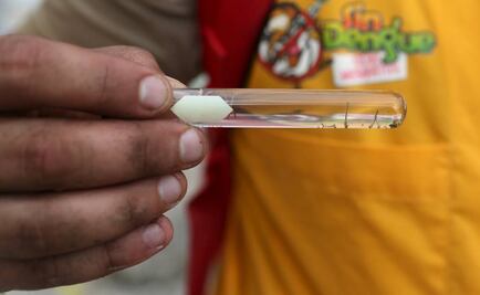 Confirman primer caso de zika en Guerrero