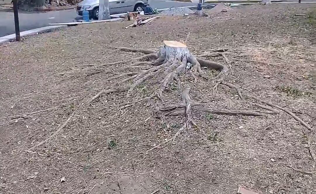 Foto: Captura de video