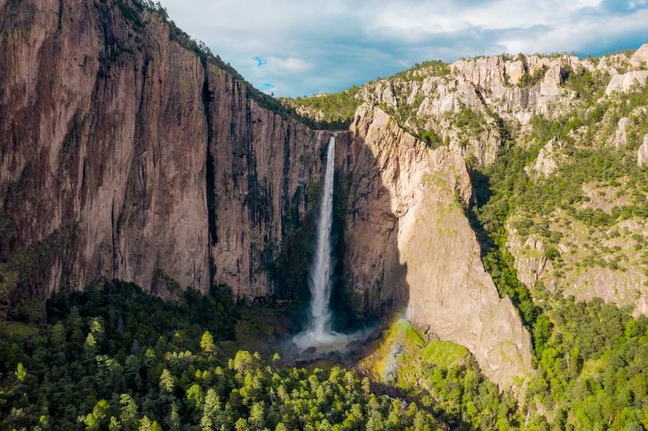 Foto: Fidetur ¡Ah Chihuahua!