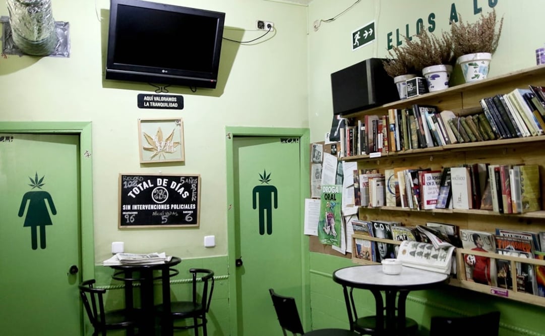 Le Santa Le Club es un club de cannabis abierto hace seis años en Madrid (Foto: Juan Carlos Rojas / EL UNIVERSAL)