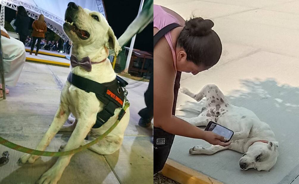 "Ingeniero" Foto: Especial/El Universal