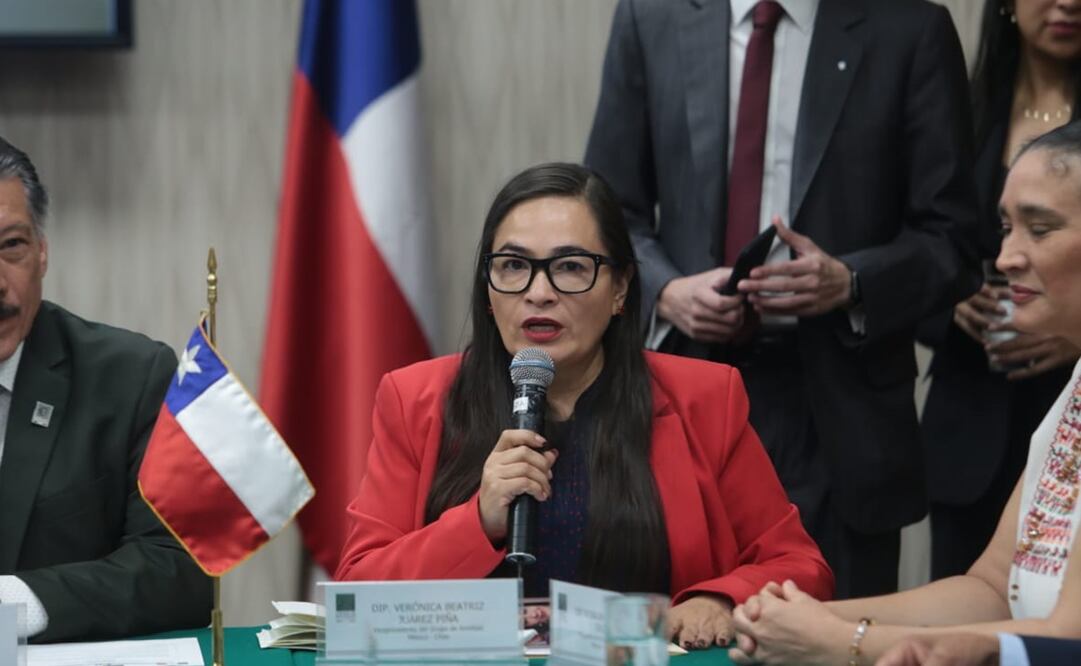 Foto: Twitter @DiputadosPRD64