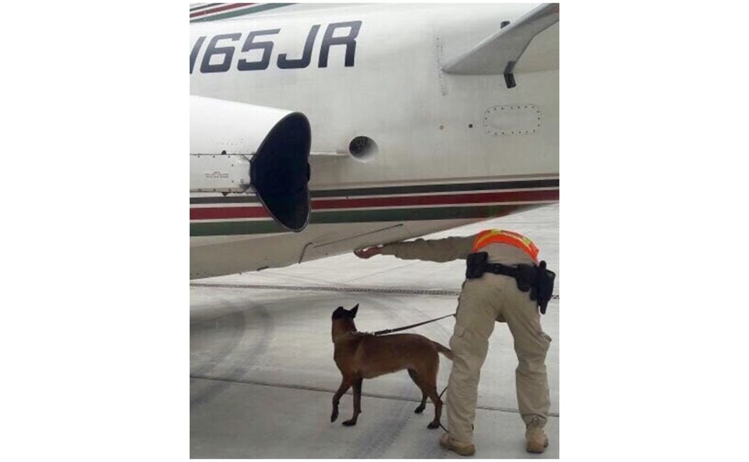 Con un perro que ayuda a la detección de drogas, un oficial aeroportuario costarricense inspeccionó la aeronave en busca de sustancias ilícitas. No se hallaron rastros de estupefacientes. (Foto: Cortesía Ministerio de Seguridad Pública de Costa Rica)