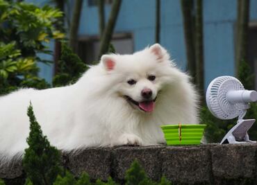 Habrá ambiente caluroso y lluvias ligeras este lunes 11 de abril en la CDMX