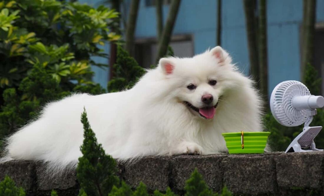 Se espera ambiente fresco al amanecer en la capital. Foto: Pixabay