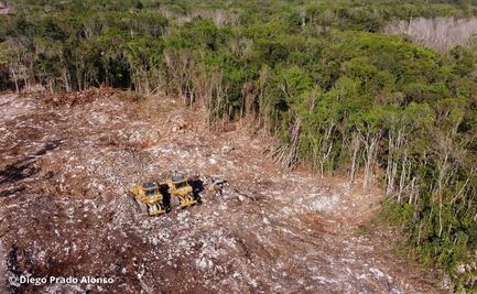 Dan premio a EL UNIVERSAL por foto de “huella” del Tren Maya sobre la selva