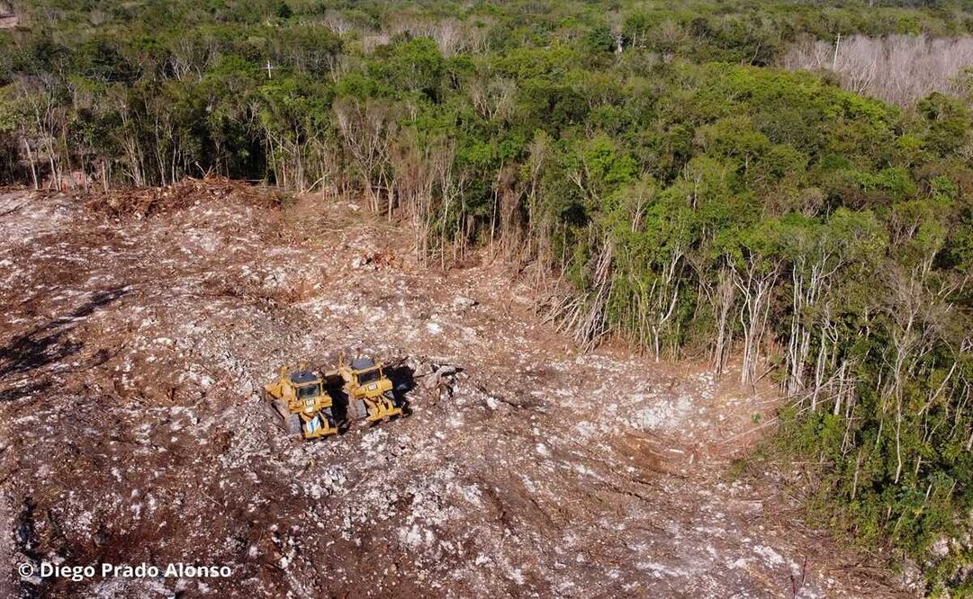 Foto: Diego Prado/ EL UNIVERSAL