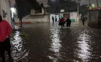 Lluvias generan afectaciones en CDMX; reportan encharcamientos, árboles caídos y viviendas dañadas