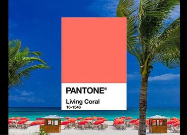 El color que marcará tendencia para 2019