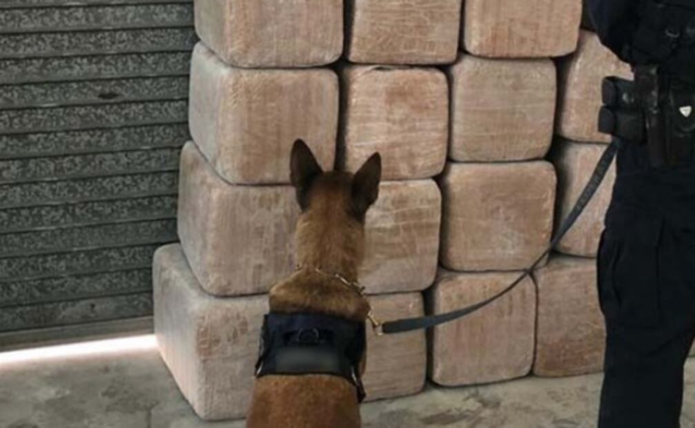 Guardia Nacional asegura cerca de 400 kilos de marihuana en Azcapotzalco