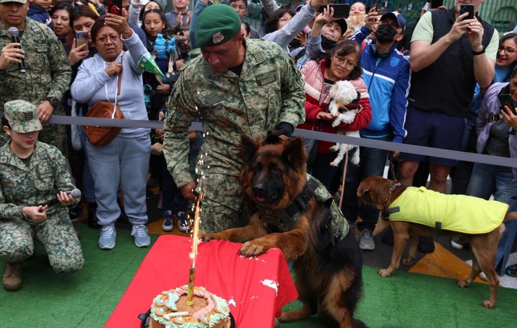 El perro Arkadas celebró su cumpleaños en Campo Marte.. Foto: Diego Simón Sánchez