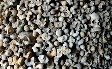 Enfermedad antigua puede proteger de la peste