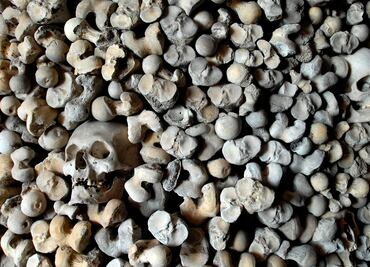 Enfermedad antigua puede proteger de la peste