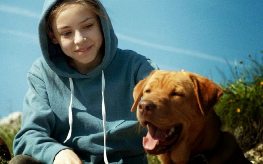 Hagen y yo: la rebelión canina