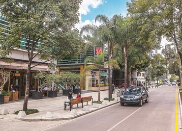 Anuncian plazo para retirar cableado aéreo de Masaryk