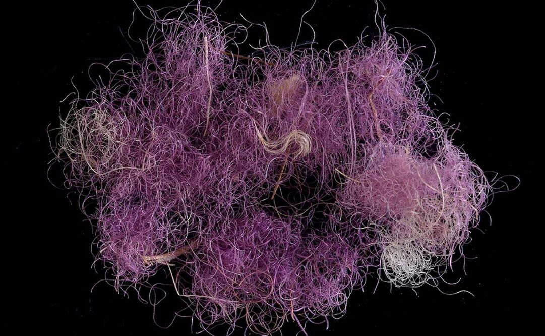 Foto: Autoridad de Antigüedades de Israel (AIA)