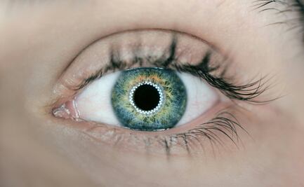 Qué es Worldcoin, app que da dinero por leer el iris