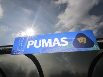 Dos viejos conocidos, candidatos para dirigir a los Pumas