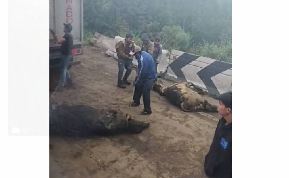 Roban ganado Foto. Especial