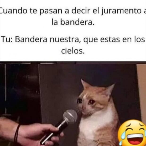 Alumno confunde el juramento a la bandera con el Padre Nuestro