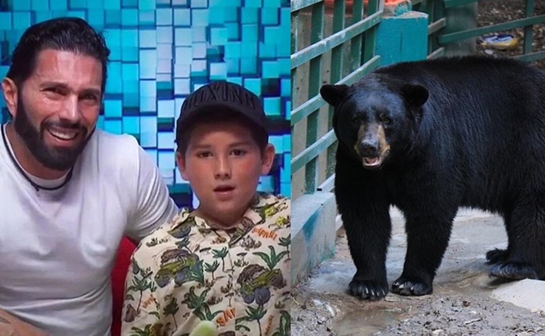 Poncho de Nigris y su hijo se toparon con un oso. Foto: YouTube / Pixabay