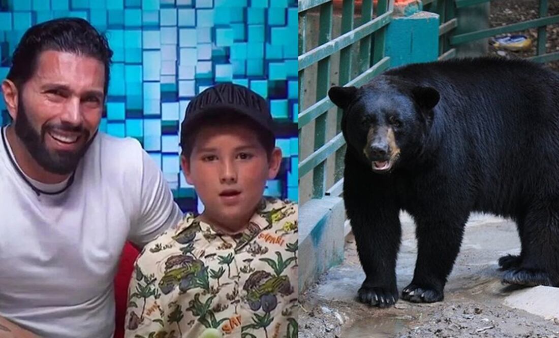 Poncho de Nigris y su hijo se toparon con un oso. Foto: YouTube / Pixabay
