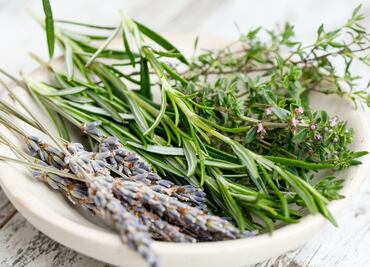 Cuál es la planta aromática ideal para fortalecer la salud cerebral, según Harvard