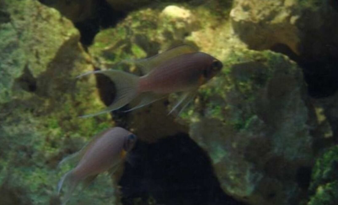 (FOTO: Europa Press)