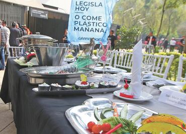 ONG exigen al Senado regular microplásticos en alimentos