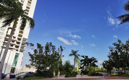 Desechan amparo que impedía acceso vehícular a Malecón Tajamar