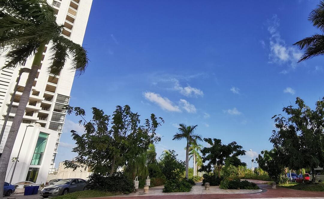 Foto: Adriana Varillas / EL UNIVERSAL