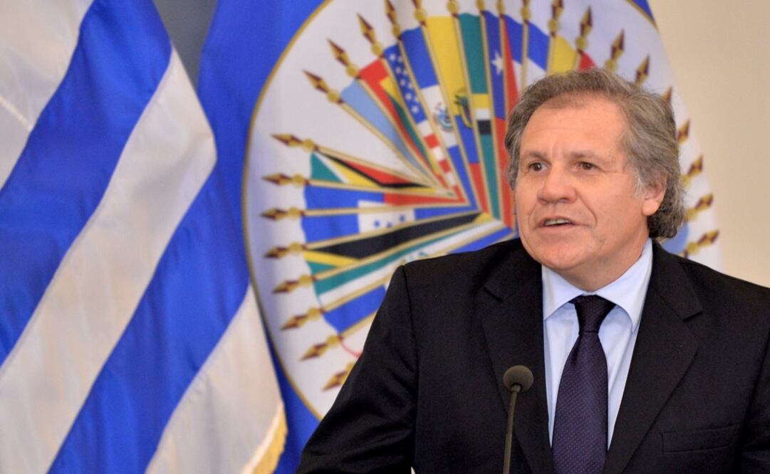 Foto: Archivo/ EL UNIVERSAL   