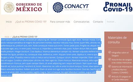Conacyt publica texto falso en latín en lugar de la definición del PRONAII y luego lo borra