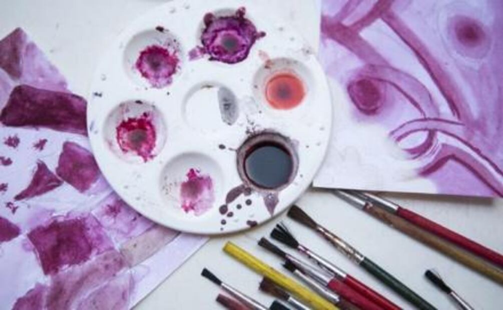 Cochineal, a traditional dye 