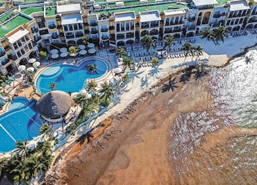 Preocupa el uso de ‘nanobiología’ contra sargazo