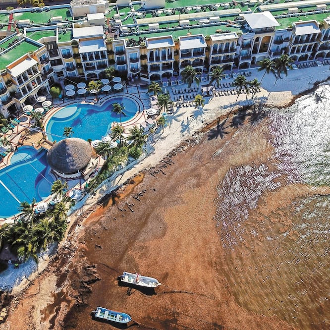 La empresa Playa Xhero trabaja en Cancún, Playa del Carmen y Tulum, sacando microorganismos y reinsertándolos al mar para limpiar el agua. ISAAC ESQUIVEL. CUARTOSCURO