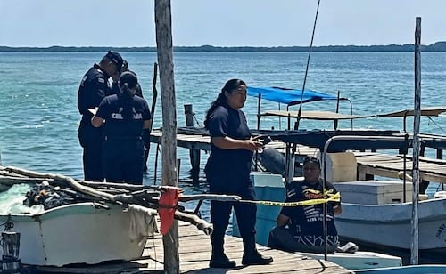 Diver dies off Yucatán coast; second fatality this octopus season