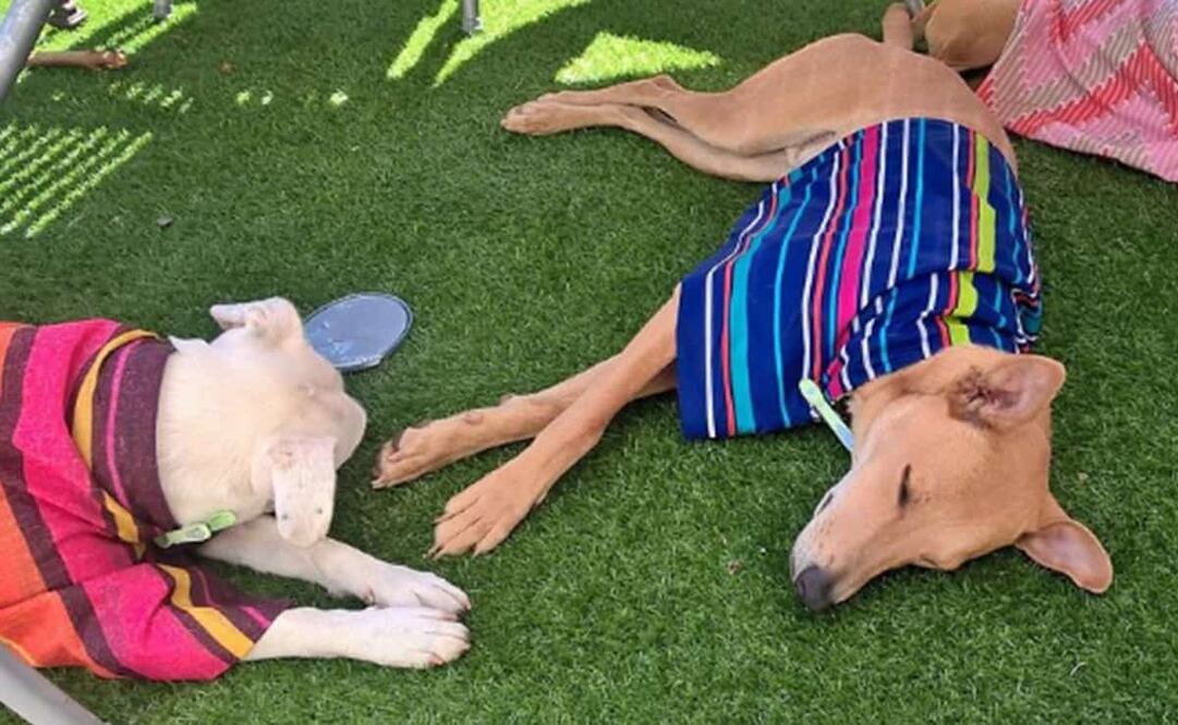 Podrían presentarse lluvias ligeras aisladas por la tarde. Foto: Pixabay