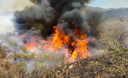 Incendios devastan mil hectáreas de selva de Chimalapas, Oaxaca