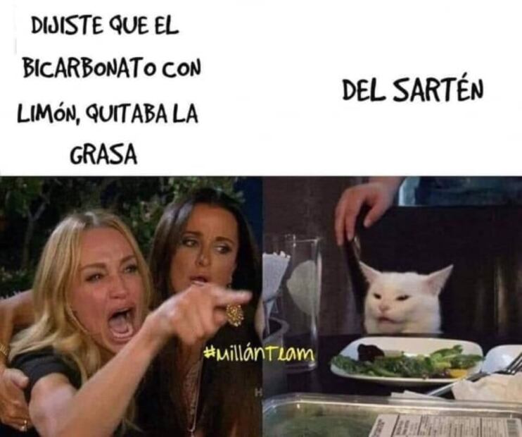 Los mejores memes del gato