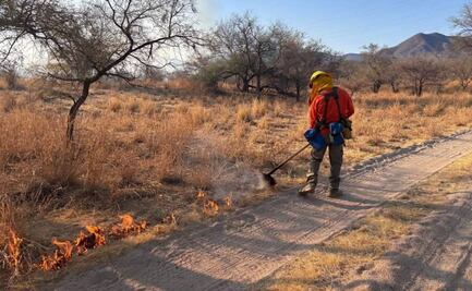 Brigadas combaten 3 incendios forestales en Sonora; sofocan uno más que deja 85 hectáreas afectadas