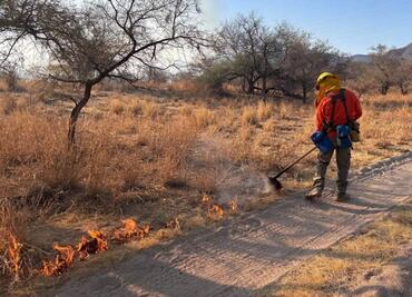Brigadas combaten 3 incendios forestales en Sonora; sofocan uno más que deja 85 hectáreas afectadas