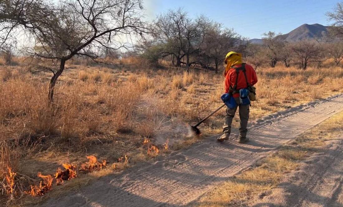 Autoridades combaten 3 incendios forestales en Sonora que han dejado cerca de 200 hectáreas afectadas en total (11/04/2025). Foto: Protección Civil Sonora