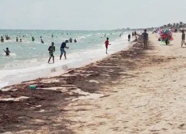 Reportan aparición de “manchas” de sargazo en playas de Yucatán