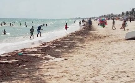 Reportan aparición de “manchas” de sargazo en playas de Yucatán