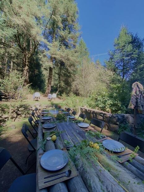 Escápate el fin de semana y come en el bosque