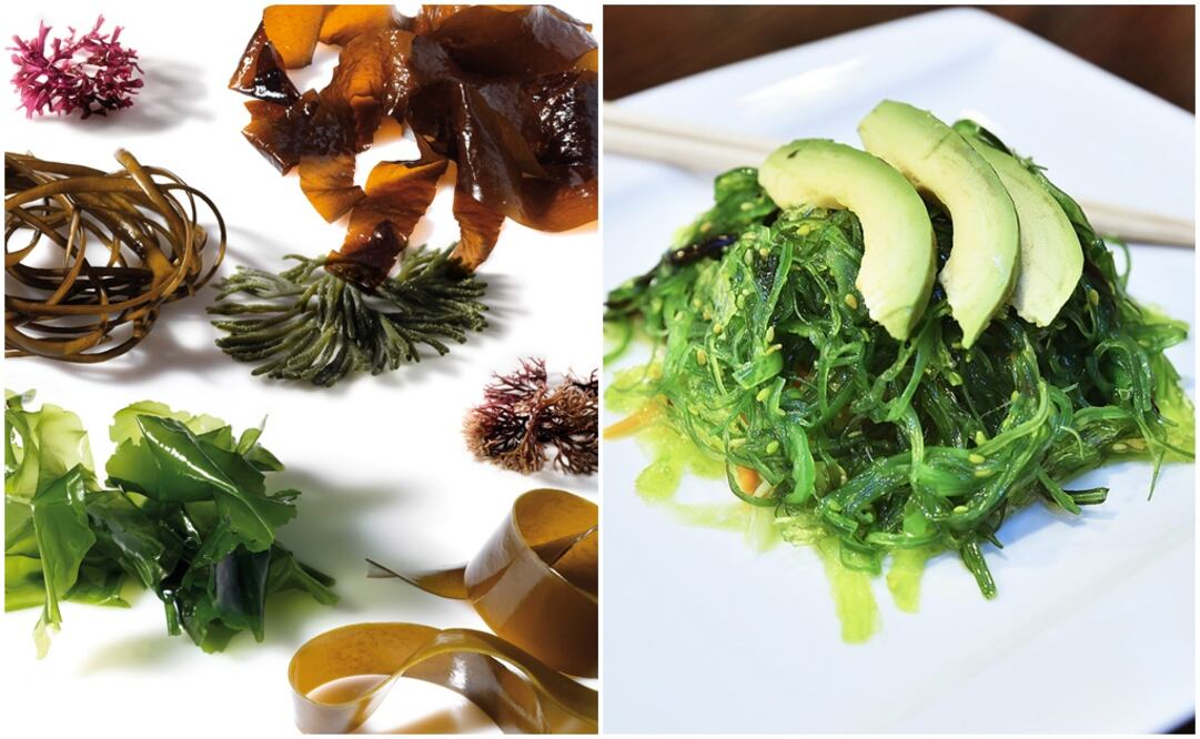 Fotos: Joaquín Méndez Rosa/ EFE y Pixabay