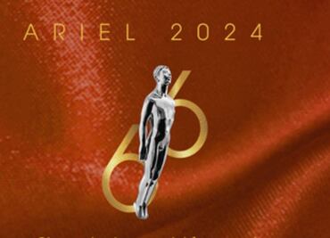 Se buscan patrocinadores (y milagros) para el Ariel en Vallarta