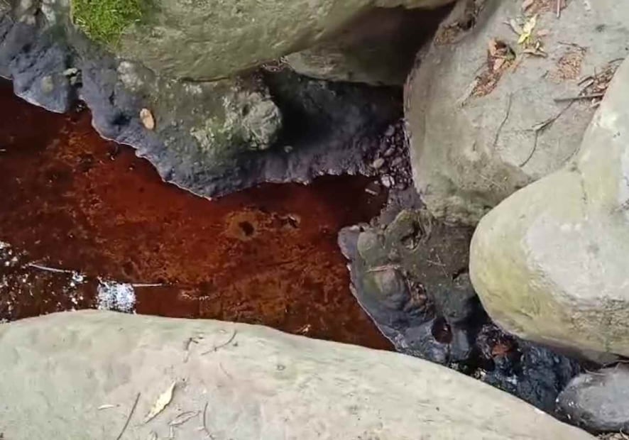 Gómez Álvarez enfatizó que la situación de Magdalena Chichicaspa “es parte de la Mesa de Paz; es un tema que estamos trabajando con Defensa”. Foto: Captura de pantalla