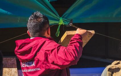 FOTOS: Detienen a dos vehículos con madera durante operativo contra la tala ilegal en Tlalpan